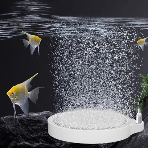 Fish Tank Aquarium Increasing Air Bubble Air Stone Oxygen Aerator Pond Pump Hydroponic Oxygen Accessories Fish Supplies