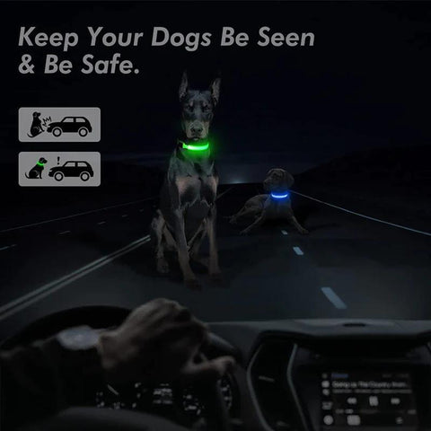 LED Adjustable Dog Collar - Blinking, Flashing, Light-Up Glow for Pet Safety - Waterproof & Stylish