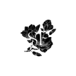 Shop Fleks